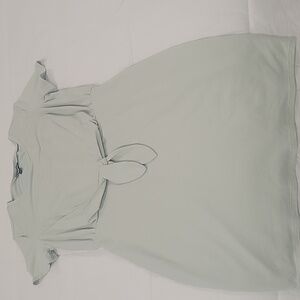 Express lined mint green fitted dress